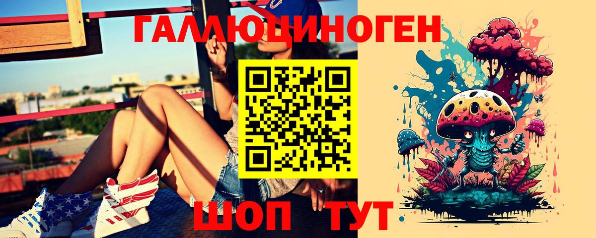 Псилоцибиновые грибы Psilocybine cubensis Абакан