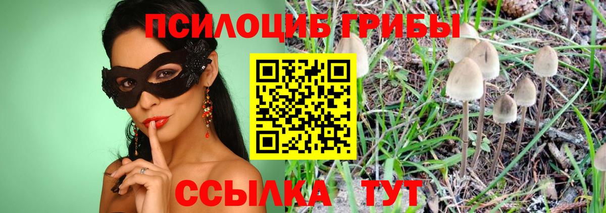 Галлюциногенные грибы мицелий  Псилоцибиновые грибы мухоморы  Вход с VPN  Абакан 