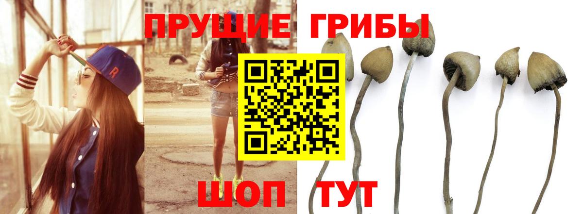 Псилоцибиновые грибы MAGIC MUSHROOMS Абакан